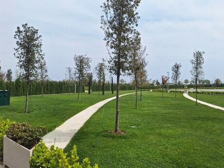 1 otaqlı köhnə tikili - Şah İsmayıl Xətai m. - 32 m²