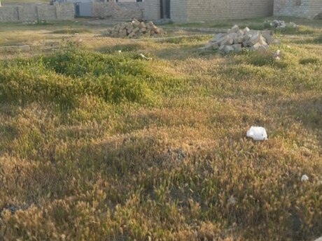 Torpaq - Müşfiqabad q. - 3 sot