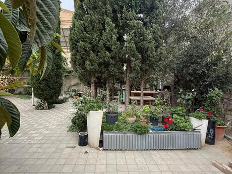 7 otaqlı həyət evi/bağ evi - Buzovna q. - 150 m²