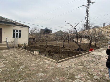 Masazır q.