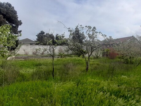 5 otaqlı həyət evi/bağ evi - Mehdiabad q. - 200 m²
