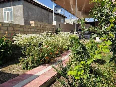 5 otaqlı həyət evi/bağ evi - Şəki - 220 m²