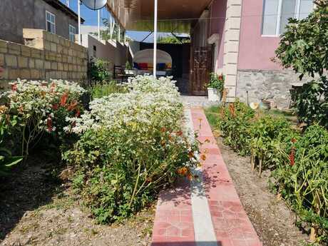 5 otaqlı həyət evi/bağ evi - Şəki - 220 m²