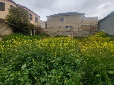 Torpaq - Qaraçuxur q. - 4 sot