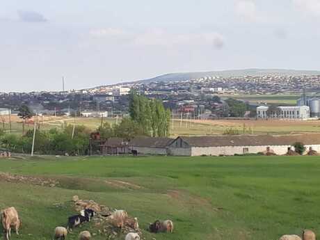 Torpaq - Qobustan - 400 sot