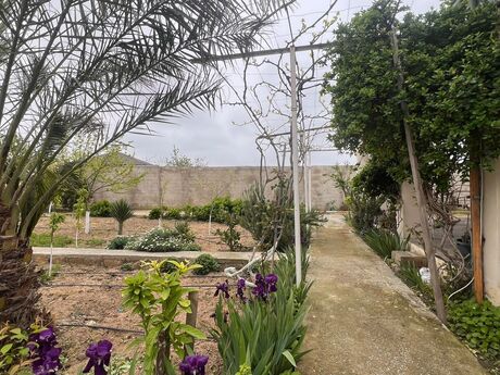 4 otaqlı həyət evi/bağ evi - Bilgəh q. - 130 m²