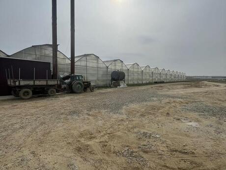 Obyekt - Məmmədli q. - 25000 m²