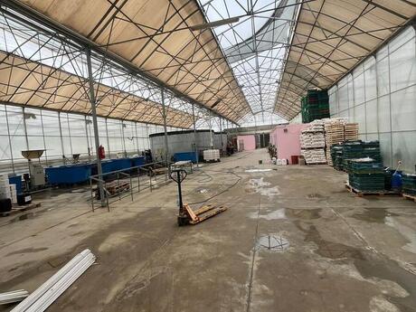 Obyekt - Məmmədli q. - 25000 m²