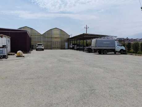 Obyekt - Masazır q. - 35000 m²