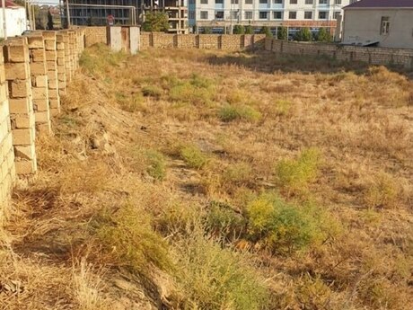 Объявление №4817842 - Баку, пос. Сарай, 35 сот