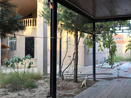 6 otaqlı həyət evi/bağ evi - Sumqayıt - 101 m²