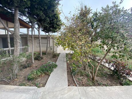 7 otaqlı həyət evi/bağ evi - Novxanı q. - 260 m²