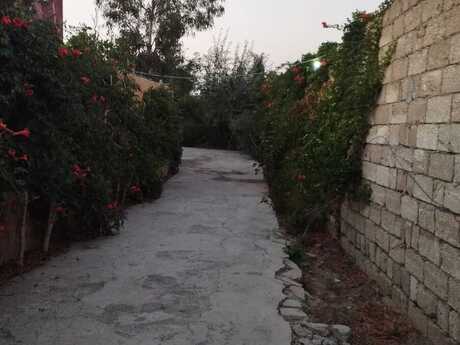 10 otaqlı həyət evi/bağ evi - Buzovna q. - 325 m²
