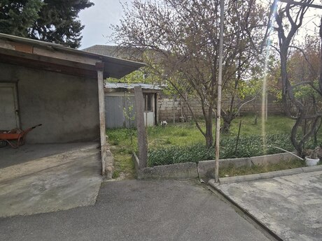 7 otaqlı həyət evi/bağ evi - Binə q. - 300 m²