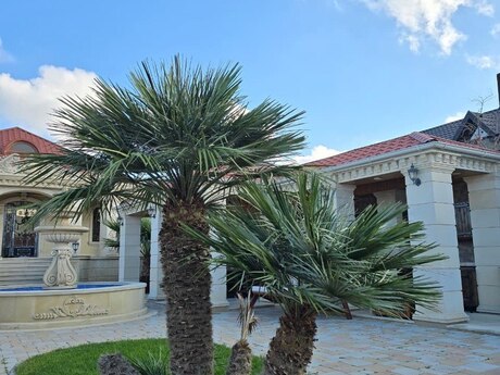 4 otaqlı həyət evi/bağ evi - Şüvəlan q. - 220 m²