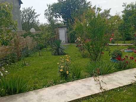 4 otaqlı həyət evi/bağ evi - Qax - 100 m²
