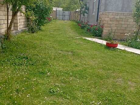 4 otaqlı həyət evi/bağ evi - Qax - 100 m²