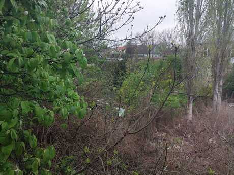 3 otaqlı həyət evi/bağ evi - Xaçmaz - 60 m²