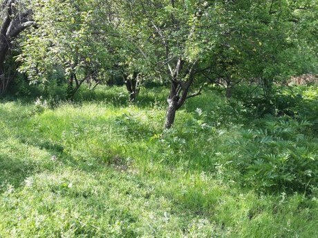 7-комн. дом/дача - Исмаиллы - 224 м²