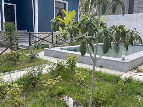 4 otaqlı həyət evi/bağ evi - Novxanı q. - 200 m²
