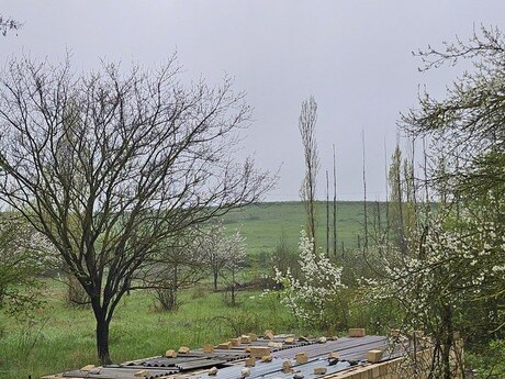 Torpaq - Qusar - 12 sot