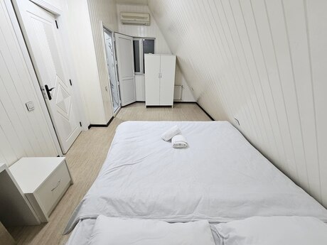 4 otaqlı həyət evi/bağ evi - Qəbələ - 200 m²