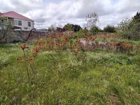 3 otaqlı həyət evi/bağ evi - Bilgəh q. - 60 m²