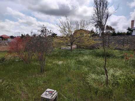3 otaqlı həyət evi/bağ evi - Bilgəh q. - 60 m²