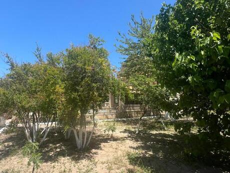 8 otaqlı həyət evi/bağ evi - Novxanı q. - 515 m²
