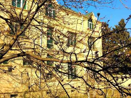 8 otaqlı həyət evi/bağ evi - Novxanı q. - 515 m²