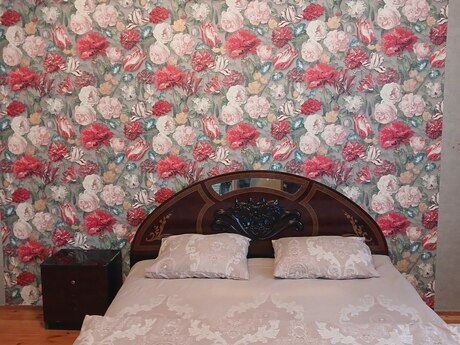 3 otaqlı həyət evi/bağ evi - Masazır q. - 80 m²