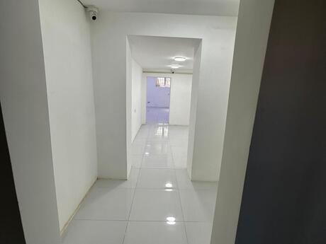 Obyekt - Elmlər Akademiyası m. - 135 m²