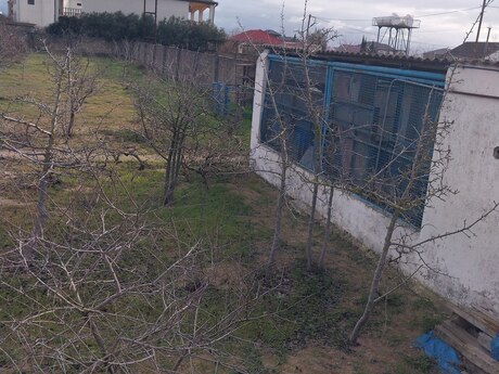 Torpaq - Albalılıq q. - 12 sot