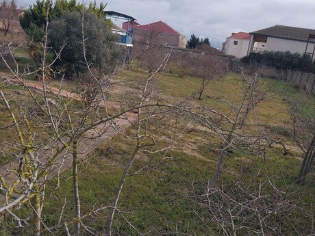 Torpaq - Albalılıq q. - 12 sot