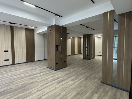 Elan №6085201 - Bakı, Nərimanov r., 5 otaqlı, 330 m²
