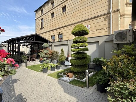 7 otaqlı həyət evi, 1 280 m², Nəsimi: 2 500 000 ₼ 5