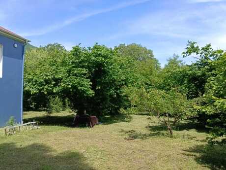 4 otaqlı həyət evi/bağ evi - Qəbələ - 140 m²