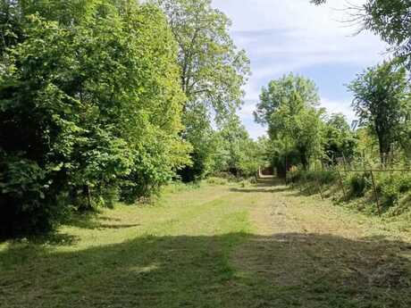 4 otaqlı həyət evi/bağ evi - Qəbələ - 140 m²