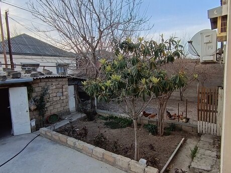 4 otaqlı həyət evi/bağ evi - Biləcəri q. - 145 m²