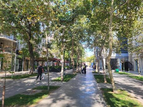 3 otaqlı köhnə tikili - Sahil m. - 80 m²