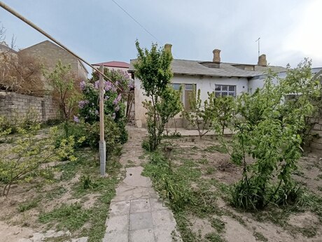 3 otaqlı həyət evi/bağ evi - Əmircan q. - 65 m²