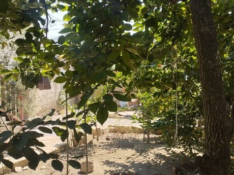 Elan №6085990 - Bakı, Nəsimi m., 10 sot