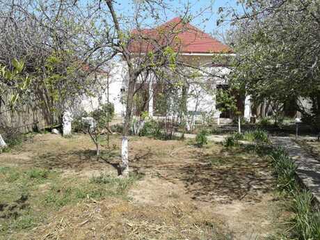 4 otaqlı həyət evi/bağ evi - Novxanı q. - 155 m²