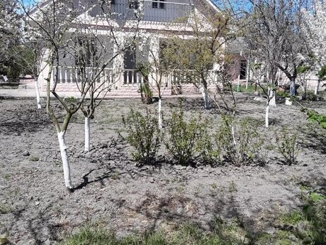 4 otaqlı həyət evi/bağ evi - Xudat - 120 m²