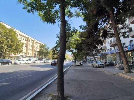 Obyekt - Nərimanov r. - 110 m²