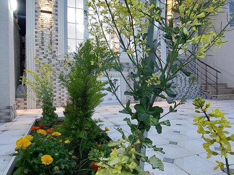 5 otaqlı həyət evi/bağ evi - Masazır q. - 170 m²
