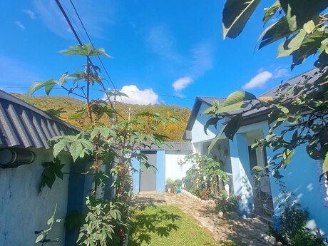3 otaqlı həyət evi/bağ evi - Qusar - 70 m²
