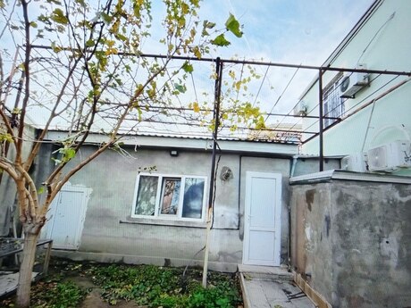 6 otaqlı həyət evi/bağ evi - Masazır q. - 440 m²