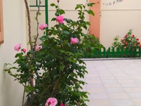 4 otaqlı həyət evi/bağ evi - Buzovna q. - 200 m²