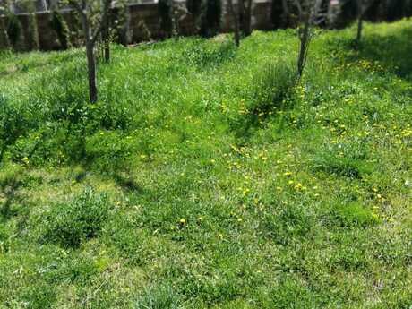 3 otaqlı həyət evi/bağ evi - Qax - 50 m²